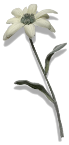ed 640